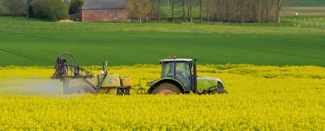 Farming at UKR AGROSUN OIL
