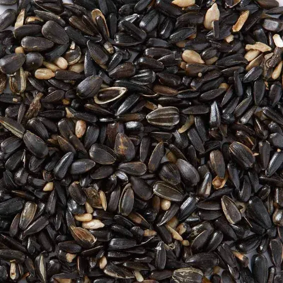 Sunflower seeds from our farms