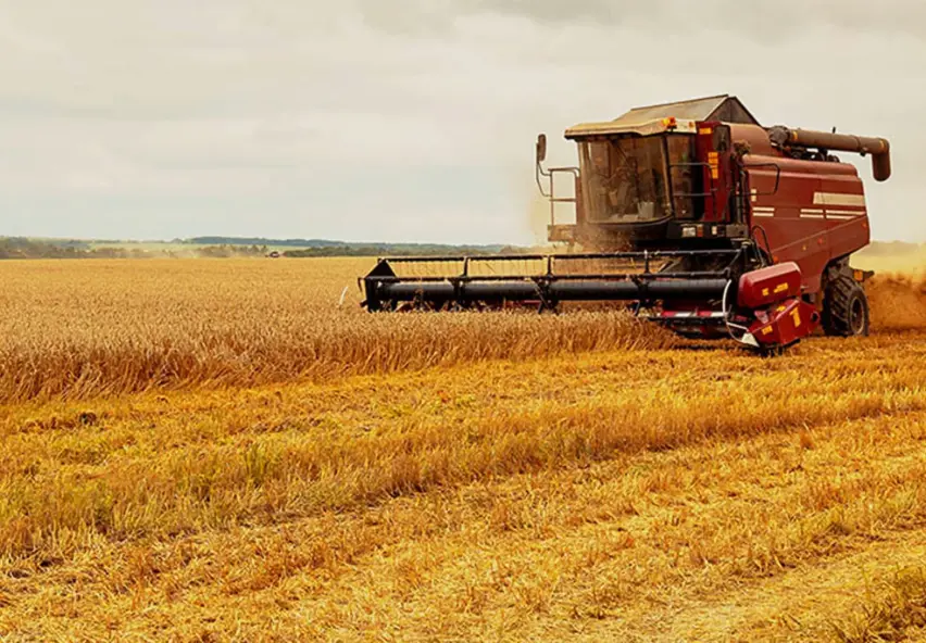 Combine harvester harvesting grain on a farm