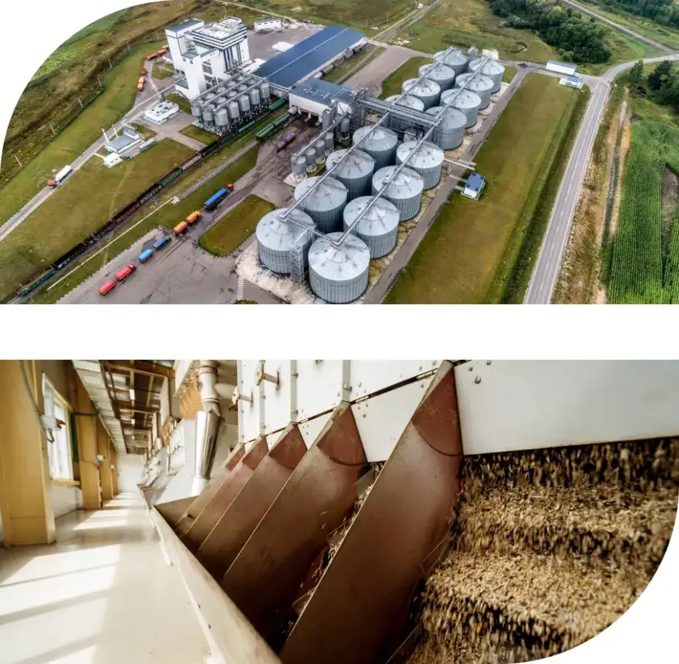 Oil extraction plant with elevators and storage silos